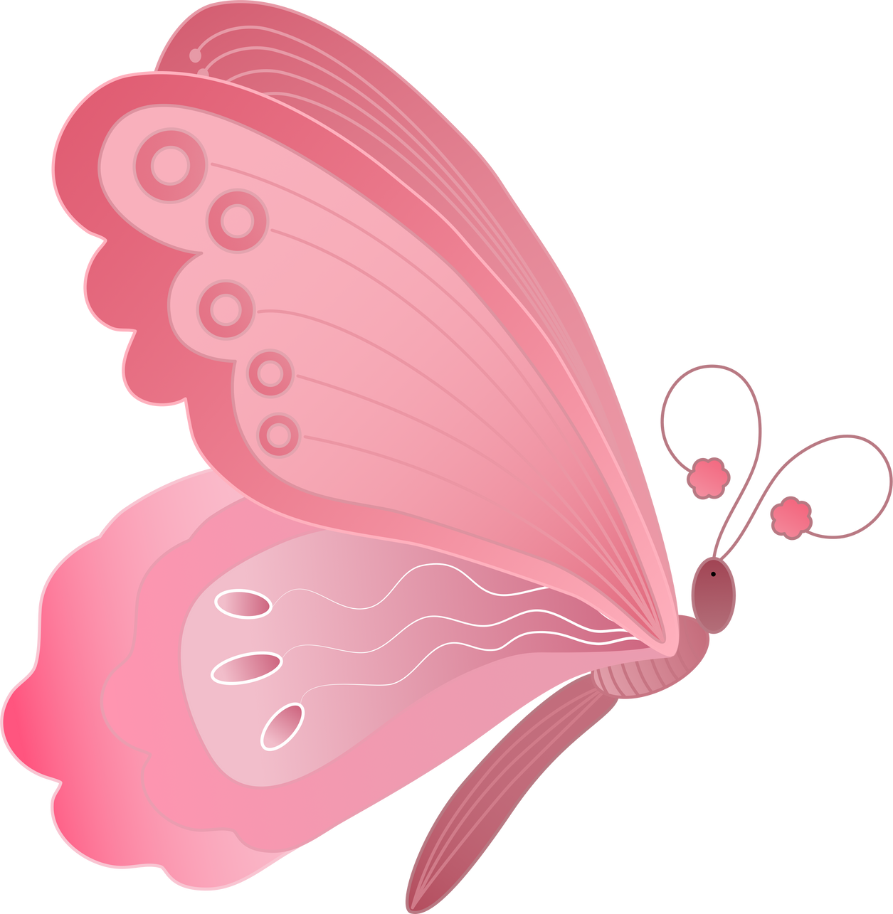 Pink Butterfly Illustration